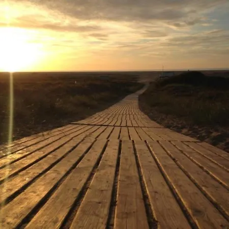 Moewennest Borkum